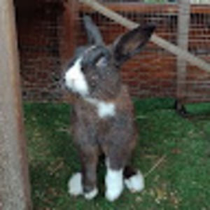 Meet your Posher, Chloe